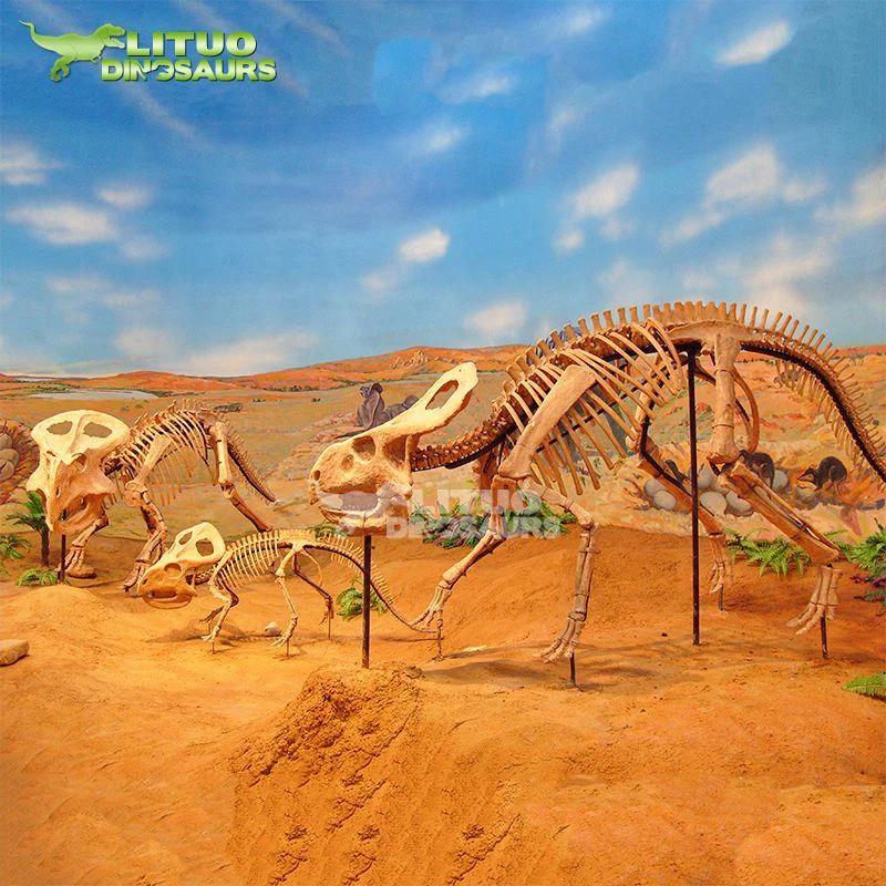 Protoceratops Fossil