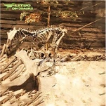 Ceratosaurus skelett