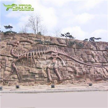 Dinosaur Fossil Relief